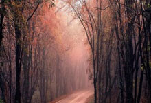 哪里能找到2019男篮世界杯回放完整版？这场赛事有哪些值得回顾的亮点？