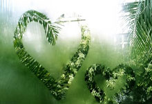 西甲拉斯帕尔马斯对阵皇马，谁能在这场较量中占据上风？