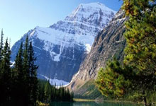 巴西队最新大名单藏着哪些惊喜与悬念？